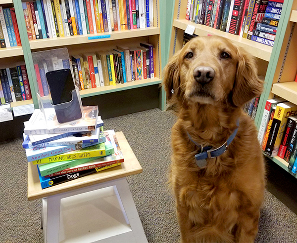 Store mascot Opie with our cell phone on a sack of booksl