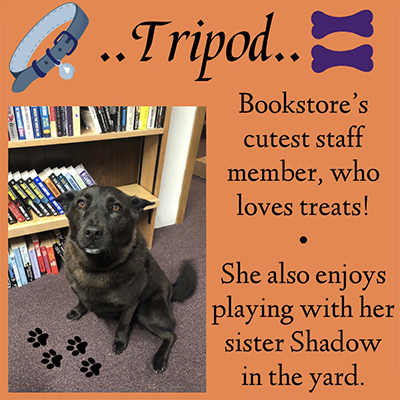 .. Tripod.. Bookstore's cutest staff member, who loves treats! She also enjoys playing with her sister Shadow in the yard.
